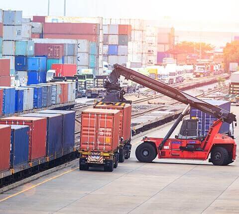 Demo Hizmet Başlığı 5